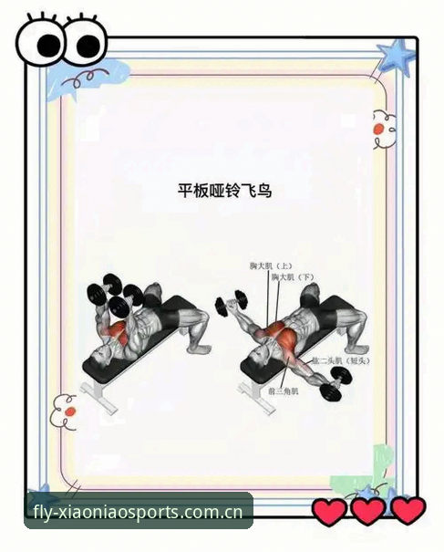 小鸟综合体育最新版 小鸟体育平台入门必备指南:掌握小鸟综合体育最新版下载与使用技巧