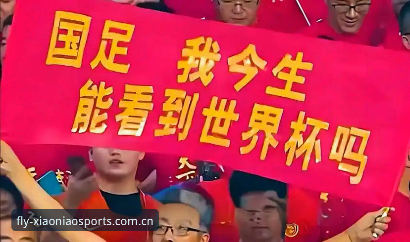 资深球迷深度体验：世界杯扩军至66队对中国足球意味着什么？