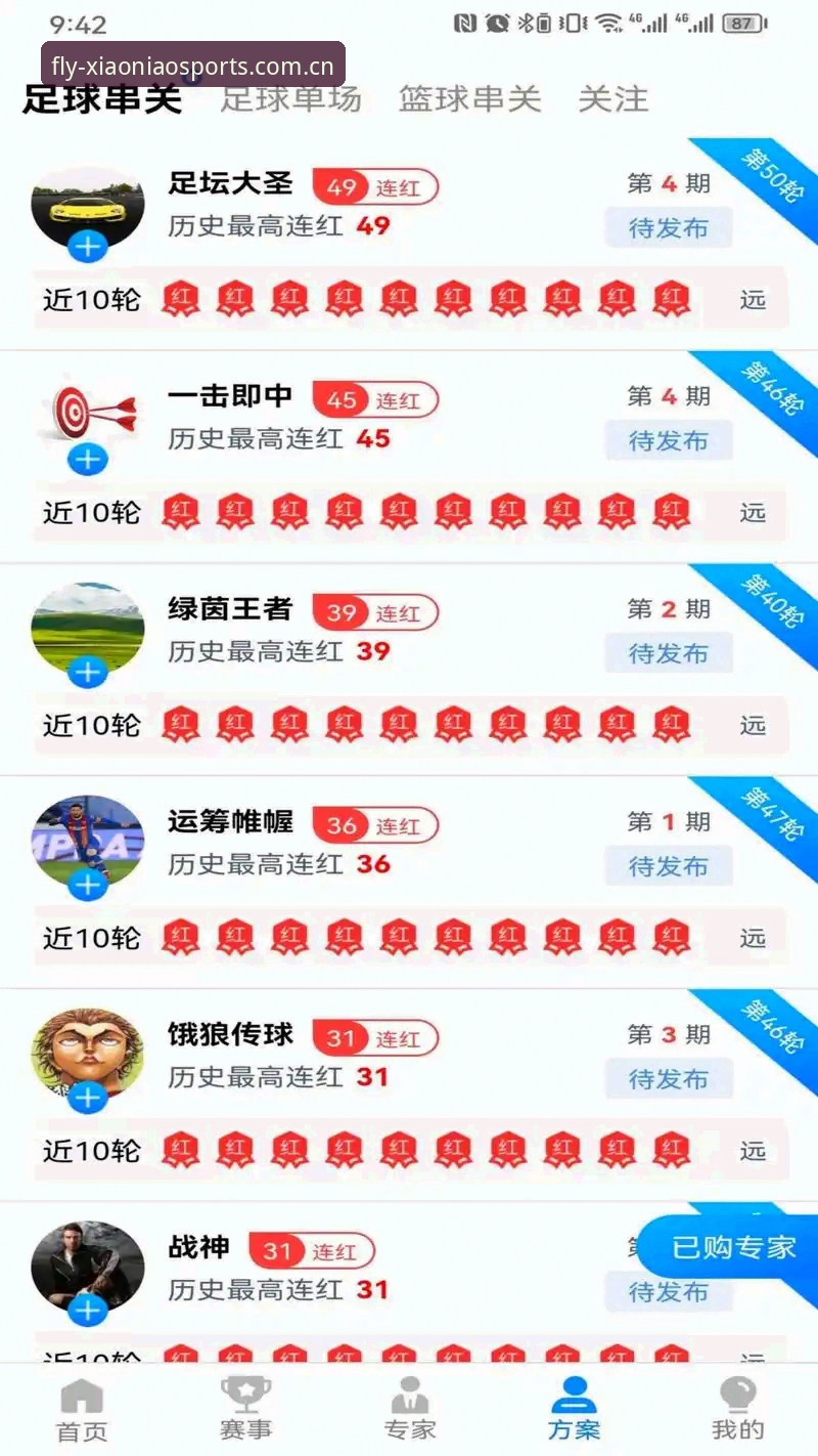 资深用户实战经验：小鸟体育APP下载安装全攻略，从新手到高手的必经之路
